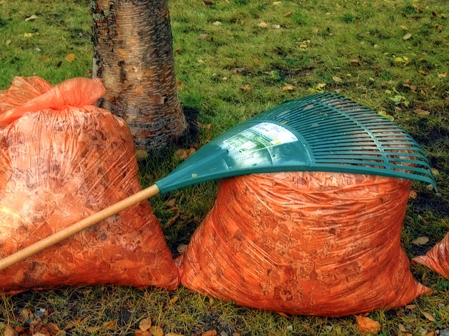 Gartenwerkzeug Den Boden mit einer Harke oder einem Rechen bearbeiten